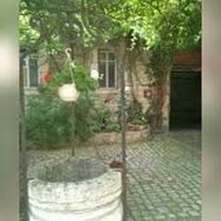 Restaurant le Sauvage