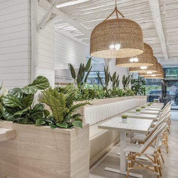 Pura Vida Miami - Breakfast & Brunch Near Me - New York, New York Pura Vida Miami - Breakfast & Brunch Near Me - New York, New York