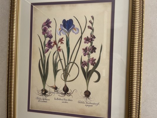 The Cook Hotel and Conference Center at LSU by null