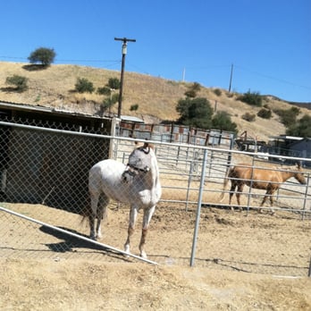 Roueche John DVM - An ex-patient living a long life. - Veterinarians Near Me - Newhall, California