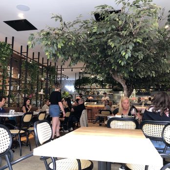 Pigeon Café - Indoor seating - Salad Near Me - Montreal, Quebec Pigeon Café - Indoor seating - Salad Near Me - Montreal, Quebec