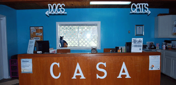 Camano Animal Shelter Association Image