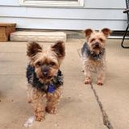 West Eugene Kennels - Pet Groomers Near Me - Eugene, Oregon