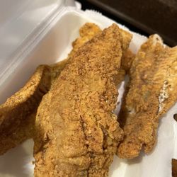 Touch Down Wings - Cat Fish