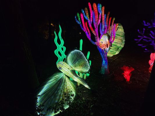 Franklin Park Zoo by null