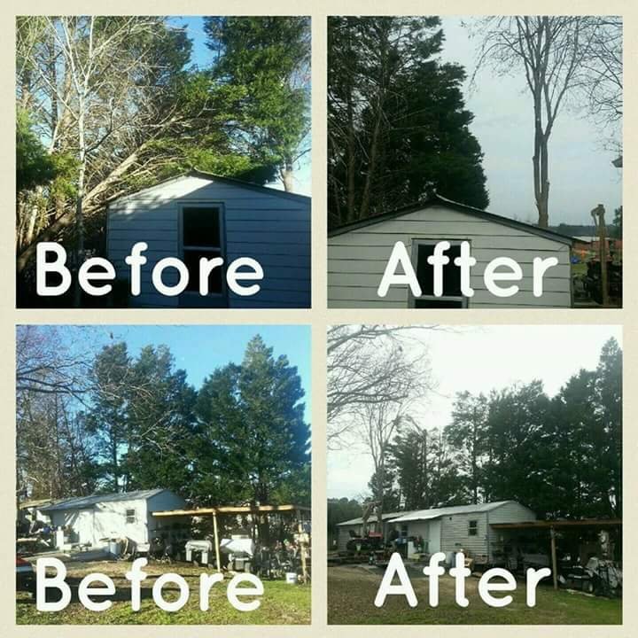 Davenport Tree Service - tree service in Augusta, GA