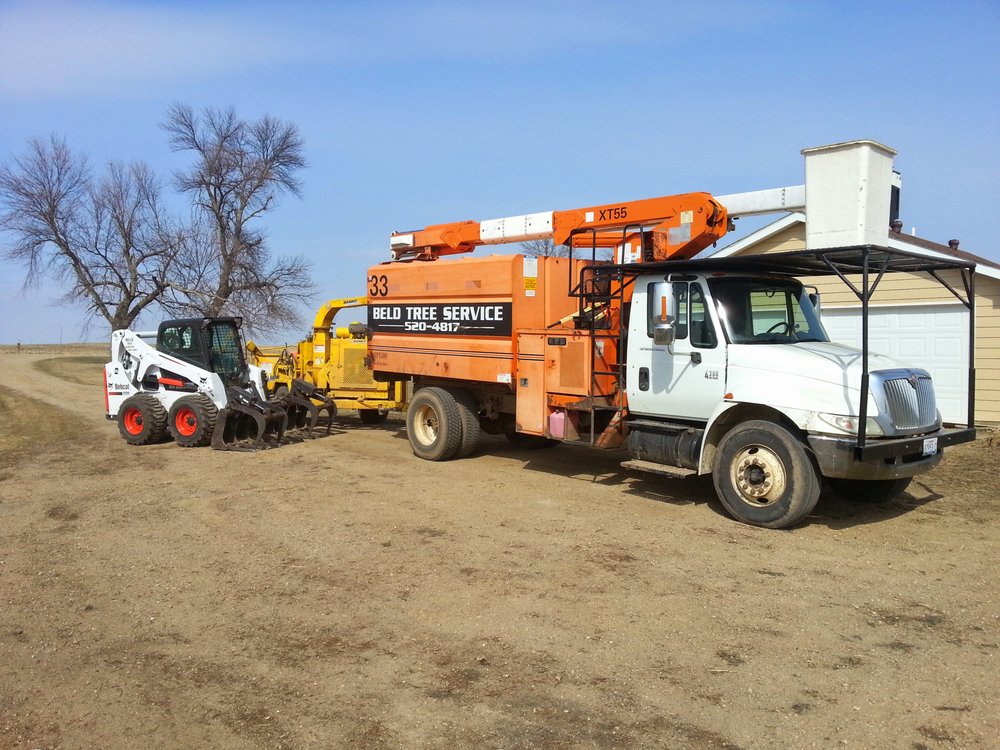 BELD TREE SERVICES 44891 183rd St, Hayti, South Dakota Tree