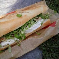 100 Dwitch - Sandwich chavrou