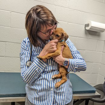 Deer Park Veterinary Hospital - Puppy kisses - Veterinarians Near Me - Cincinnati, Ohio Deer Park Veterinary Hospital - Puppy kisses - Veterinarians Near Me - Cincinnati, Ohio
