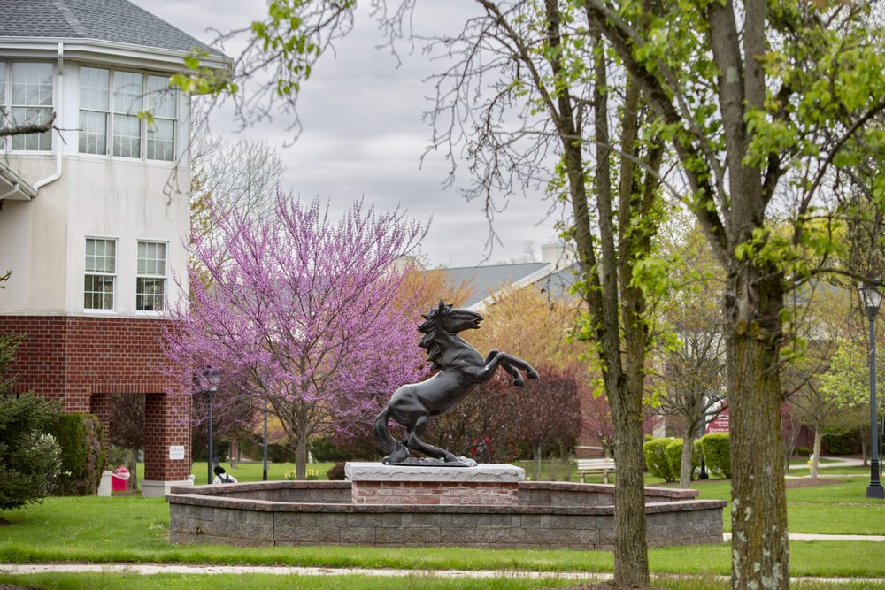 DOMINICAN UNIVERSITY OF NEW YORK Updated July 2024 493 Western Hwy