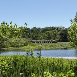 Jungle Gardens