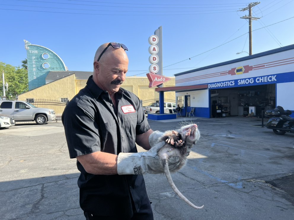 DAD’S AUTOMOTIVE SERVICES AND REPAIRS Updated September 2024 43 Photos & 58 Reviews 301 S