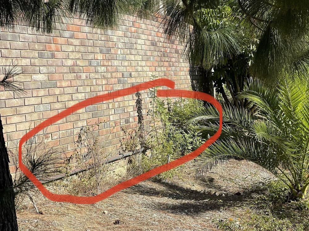 CALIFORNIA ARBORIST Updated September 2024 23 Photos & 57 Reviews