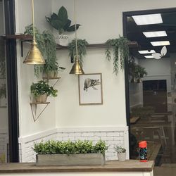 Gold Tea Boba And Sandwiches - Lounge chairs/decor