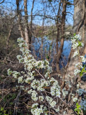Bethany Lakes Park by null