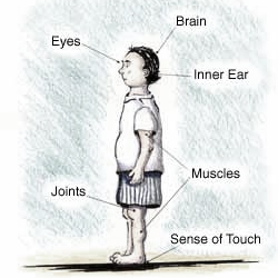 Ancient Touch Massage Therapy - Sensory Balancing Therapy