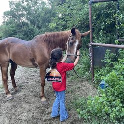 Horse Rides of Pensacola - I love this horse