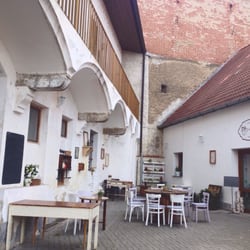 Vykulená Sova