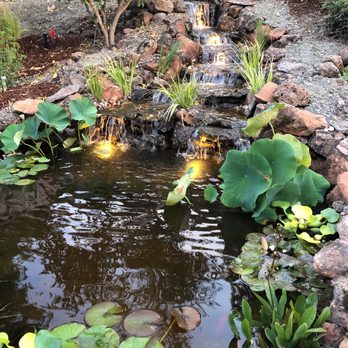 The Waterfall Guy - Landscape Architects or Designers Near Me