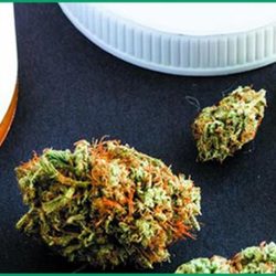 Florida Medical Marijuana Health Center