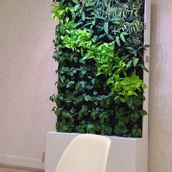 Brooklyn Mint Dental - General Dentistry Near Me - Brooklyn, New York