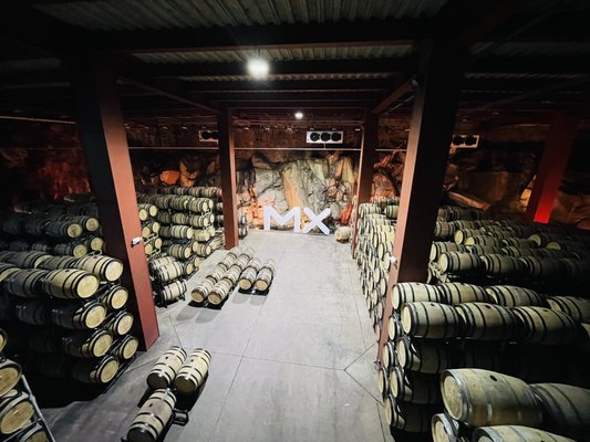 Monte Xanic Bodega Vinícola by null