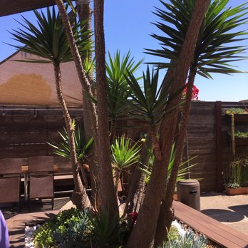 Turmeric Thai Kitchen - Lovely outdoor courtyard seating - Thai Near Me - La Jolla, California Turmeric Thai Kitchen - Lovely outdoor courtyard seating - Thai Near Me - La Jolla, California