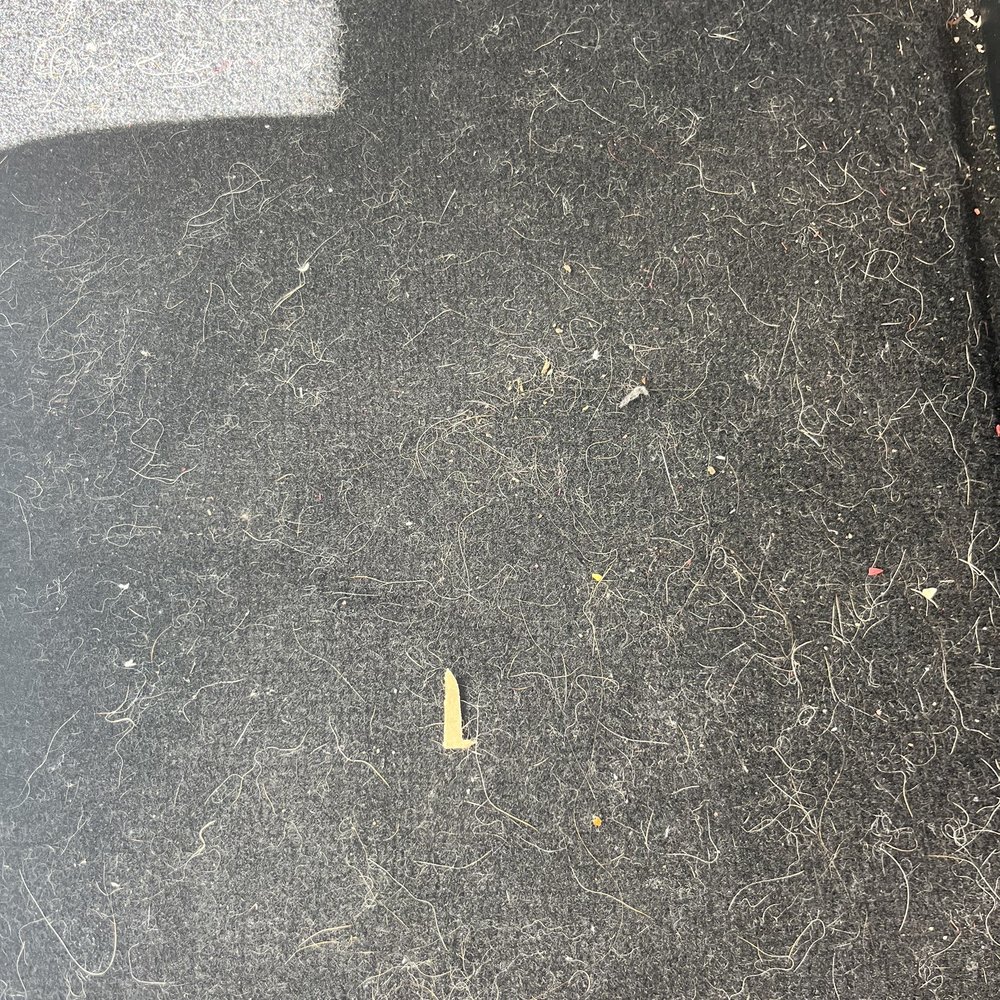 I just got my car back after paying $29.00 dollars for a vacuum and washing. Here is a picture of the fantastic job. I just got my car back after paying $29.00 dollars for a vacuum and washing. Here is a picture of the fantastic job.
