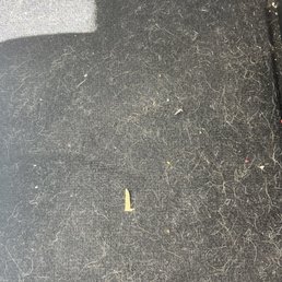 I just got my car back after paying $29.00 dollars for a vacuum and washing. Here is a picture of the fantastic job. I just got my car back after paying $29.00 dollars for a vacuum and washing. Here is a picture of the fantastic job.