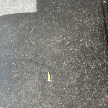 The Auto Scrubber - I just got my car back after paying $29.00 dollars for a vacuum and washing. Here is a picture of the fantastic job. - Car Wash Near Me - Ventura, California The Auto Scrubber - I just got my car back after paying $29.00 dollars for a vacuum and washing. Here is a picture of the fantastic job. - Car Wash Near Me - Ventura, California