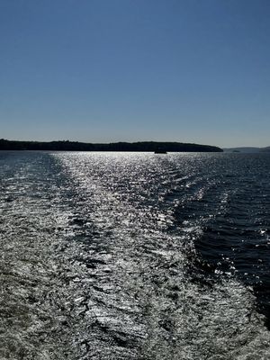 Hudson River Cruises by null