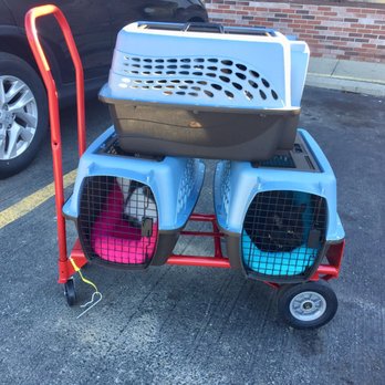 White Oak Veterinary Clinic - Veterinarians Near Me - White Oak, Pennsylvania White Oak Veterinary Clinic - Veterinarians Near Me - White Oak, Pennsylvania