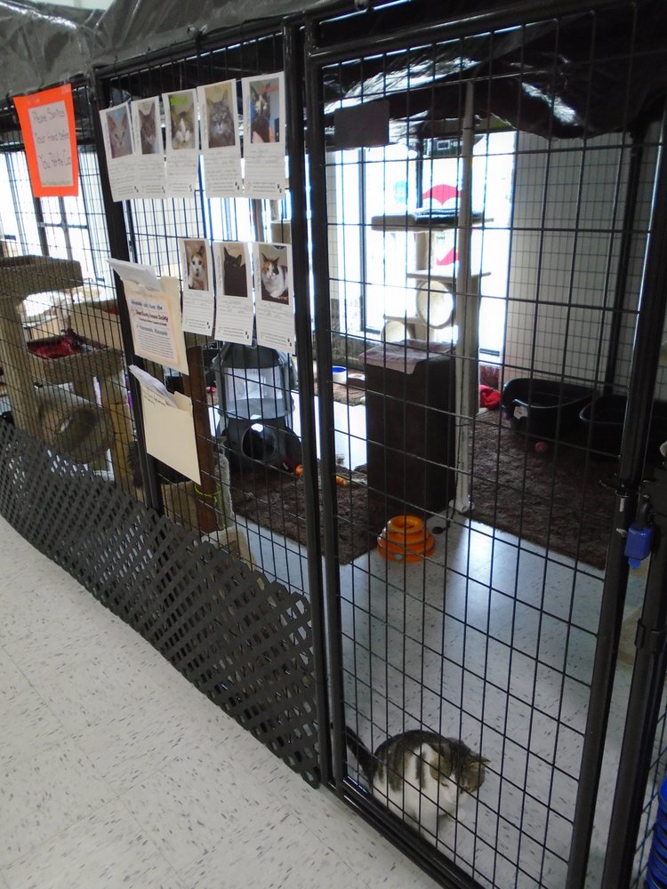 ANGEL’S PET WORLD Updated July 2024 63 Photos & 19 Reviews 105