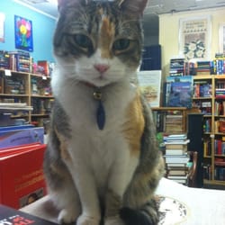 Blue Cypress Books - The guardian of the stacks.