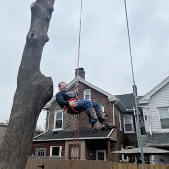 Adam's Tree - Call us (484) 366-9978
Email us https://adamstreellc.com/contact/ - Tree Services Near Me - Schnecksville, Pennsylvania Adam's Tree - Call us (484) 366-9978
Email us https://adamstreellc.com/contact/ - Tree Services Near Me - Schnecksville, Pennsylvania