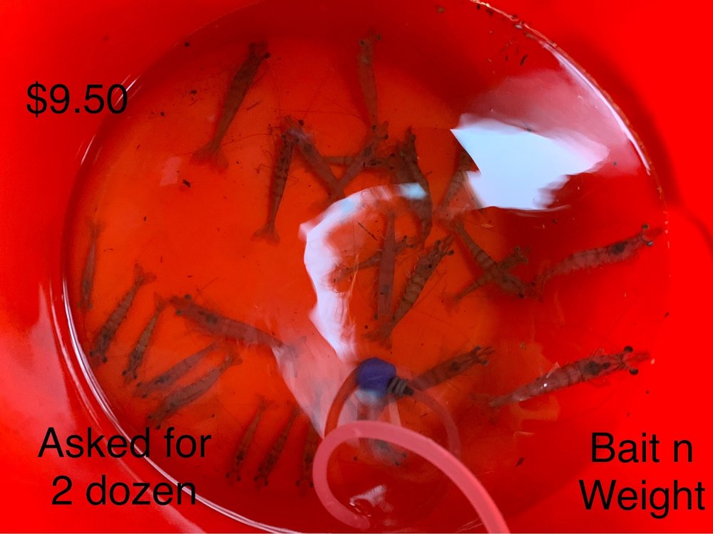 BAITNWAIT Updated August 2024 17 Reviews 17885 San Carlos Blvd