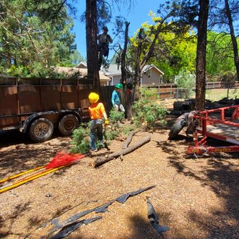 Josh Boggs Tree Service - Tree Services Near Me Josh Boggs Tree Service - Tree Services Near Me