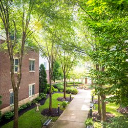 Forest Hills Place