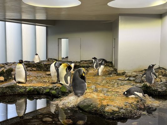 Zoo Basel by null