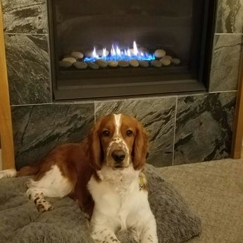 16 Bay View - Hotels Near Me - Camden, Maine 16 Bay View - Hotels Near Me - Camden, Maine