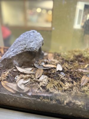 Science Museum of Virginia by null