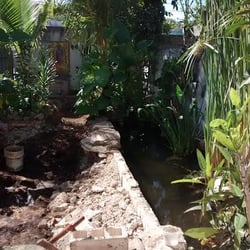 Acuario Peces Aguilar Uc - Estanque en construcción