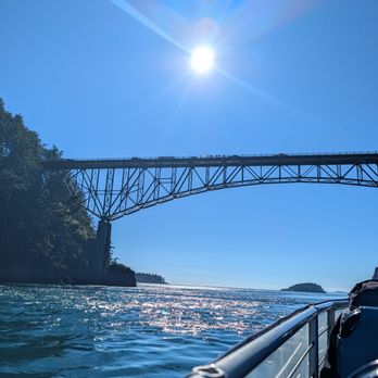 Deception Pass Tours - On the way out to the islands - Whale Watching Tours Near Me - Anacortes, Washington Deception Pass Tours - On the way out to the islands - Whale Watching Tours Near Me - Anacortes, Washington