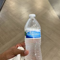 Juice Bar Paradise - Water