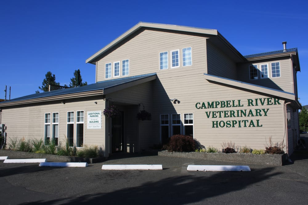 CAMPBELL RIVER VETERINARY HOSPITAL Updated October 2024 2566 S Island Highway, Campbell