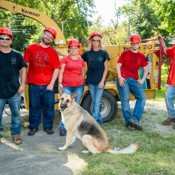 Eggers Tree Service - Tree Services Near Me - Grandview, Missouri Eggers Tree Service - Tree Services Near Me - Grandview, Missouri