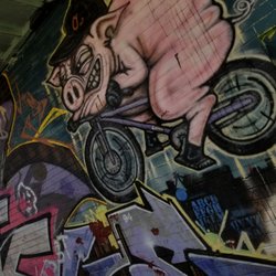 Carroll Park Skate Park