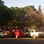 Photo of Plaza Rivadavia