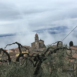 Le Gemme di Antemisia