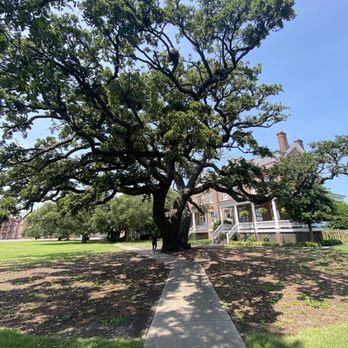 Fort Monroe National Monument - A 400 year old live oak on the property! - Landmarks & Historical Buildings Near Me - Hampton, Virginia Fort Monroe National Monument - A 400 year old live oak on the property! - Landmarks & Historical Buildings Near Me - Hampton, Virginia